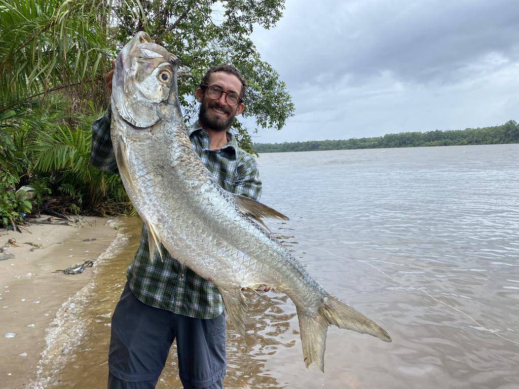 Tarpon atlantik (inaturalist.org/joe_cutler)